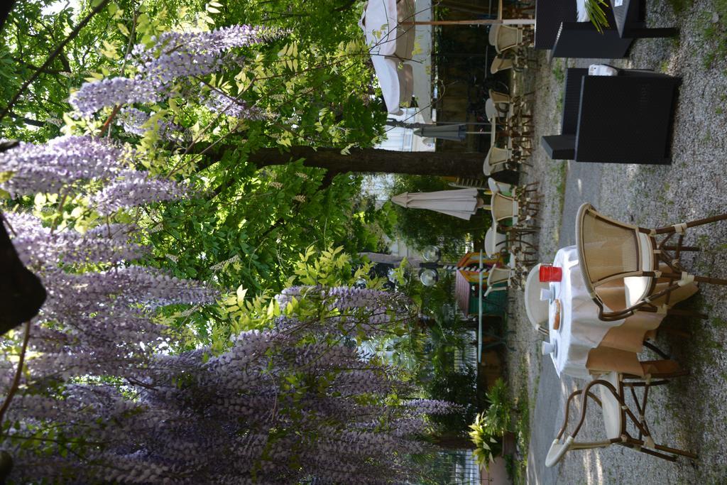 Hotel Roxy Floridiana Rimini Exterior photo